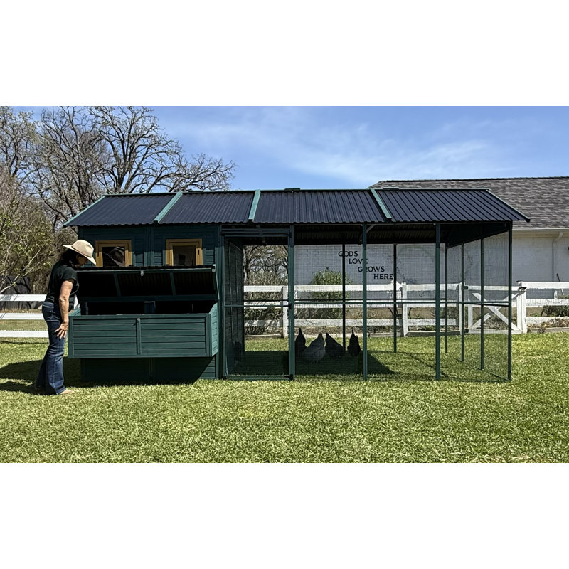 Zylina Modern guard Xl Metal Framed Chicken Coop | Wayfair